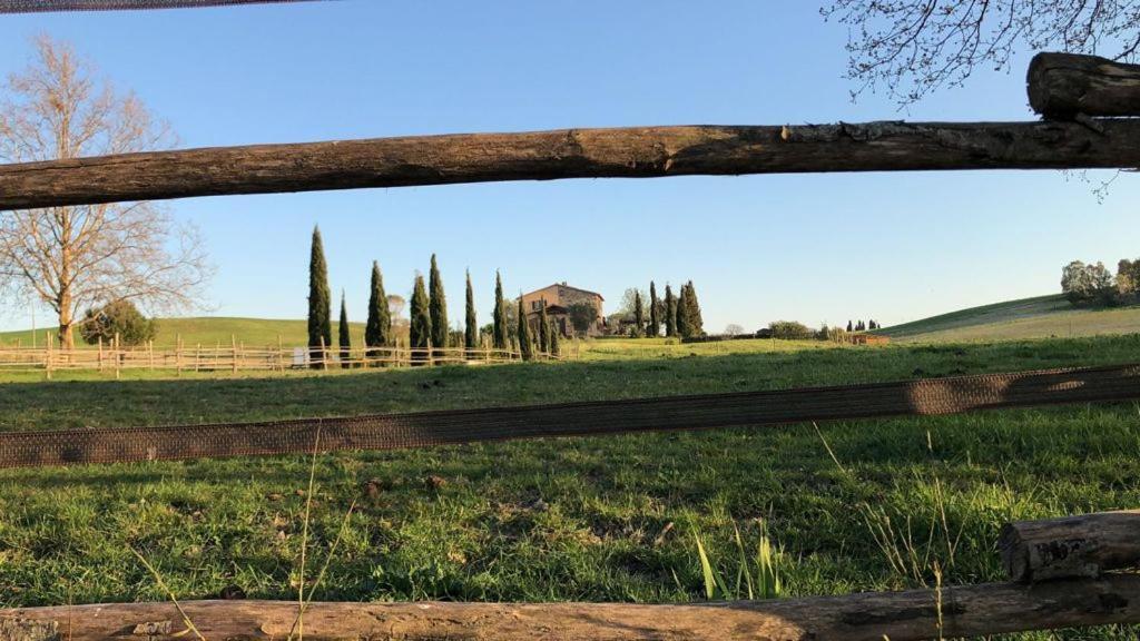 Bed And Breakfast Casale Del Sole Castellina Marittima Exterior foto