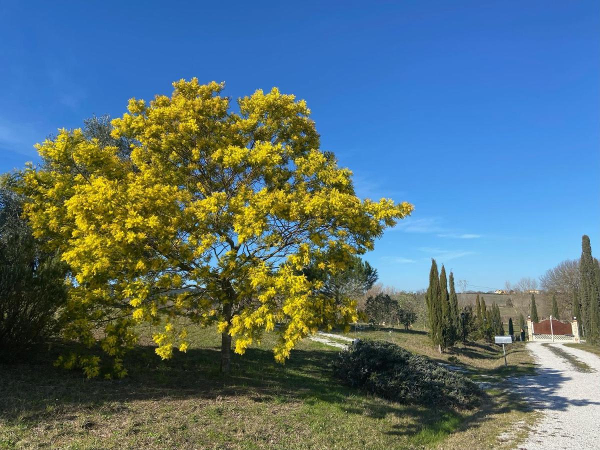 Bed And Breakfast Casale Del Sole Castellina Marittima Exterior foto