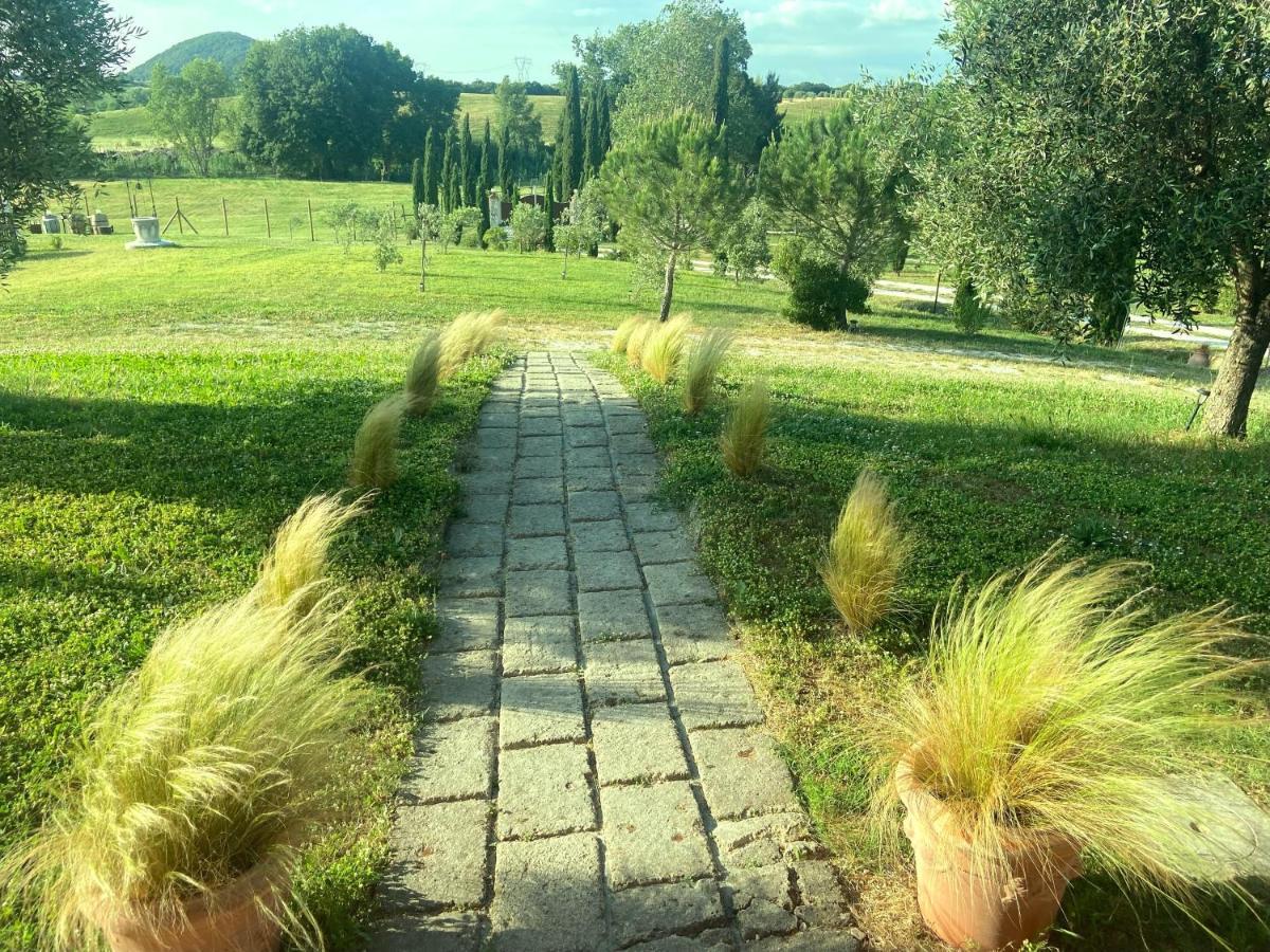 Bed And Breakfast Casale Del Sole Castellina Marittima Exterior foto